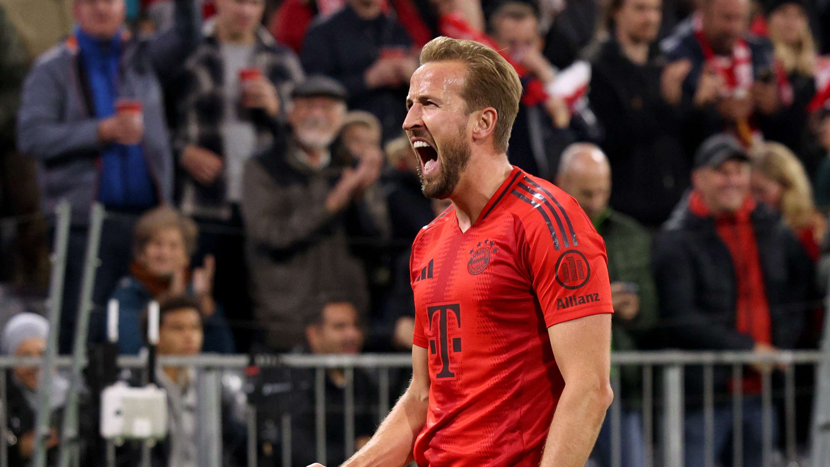 的情感波动 的情感波动