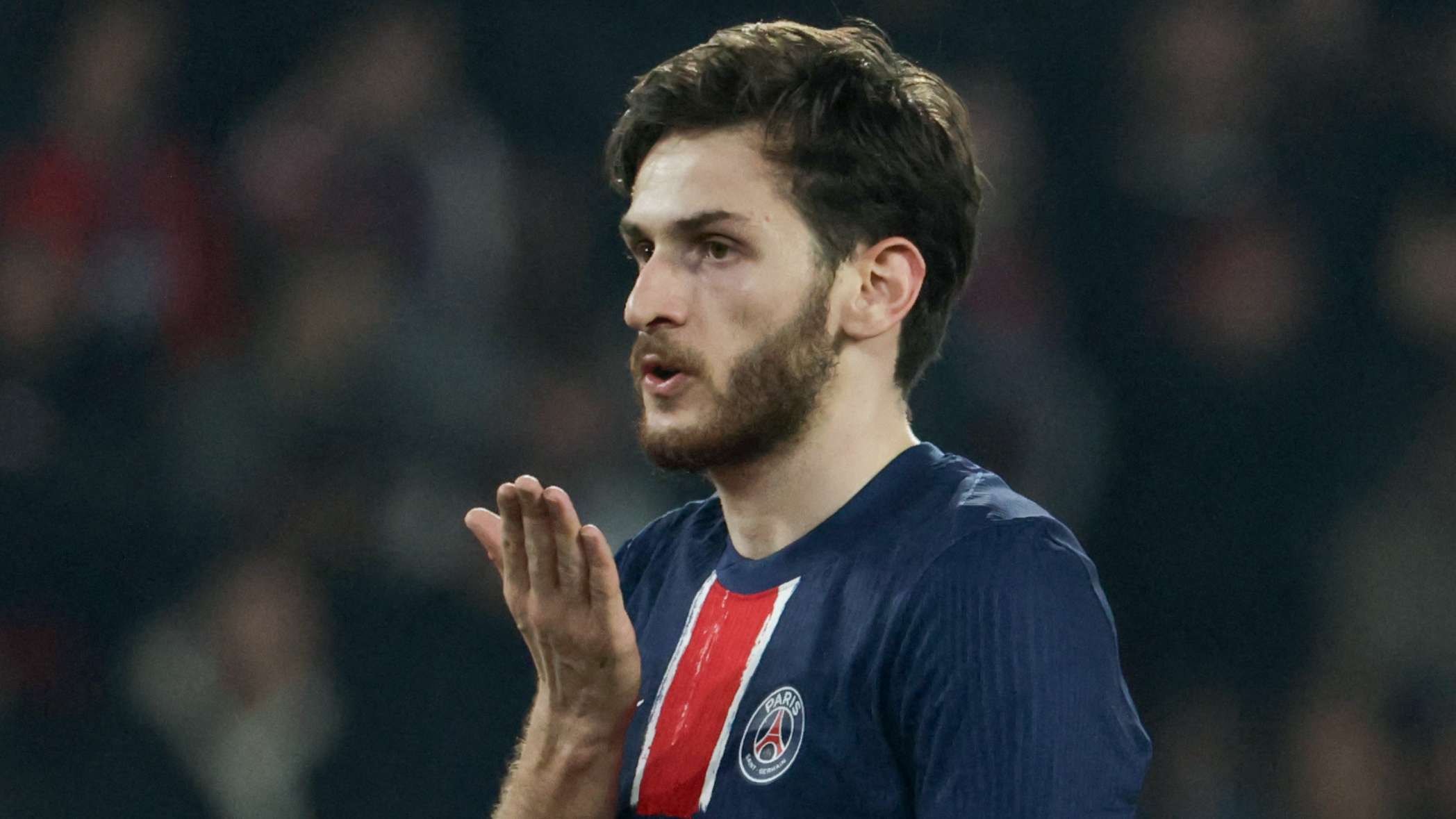 析和展望国 析和展望国